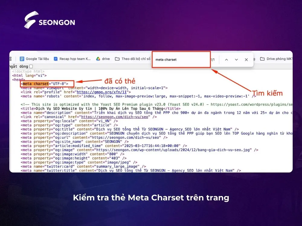 Kiểm tra thẻ Meta Charset trên nguồn trang