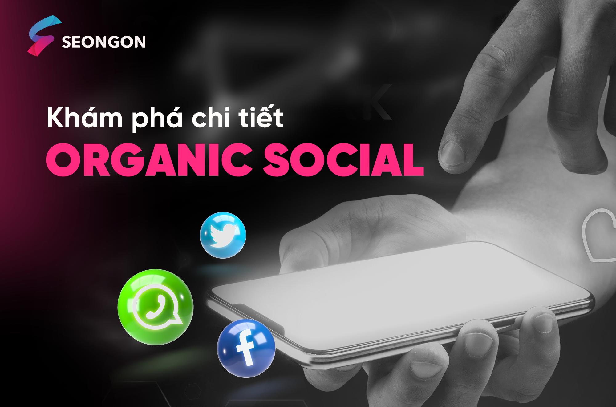 Organic Social là gì? Tìm hiểu về sức mạnh của nội dung tự nhiên
