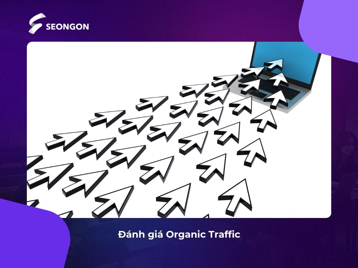 Phân tích lưu lượng truy cập tự nhiên vào website