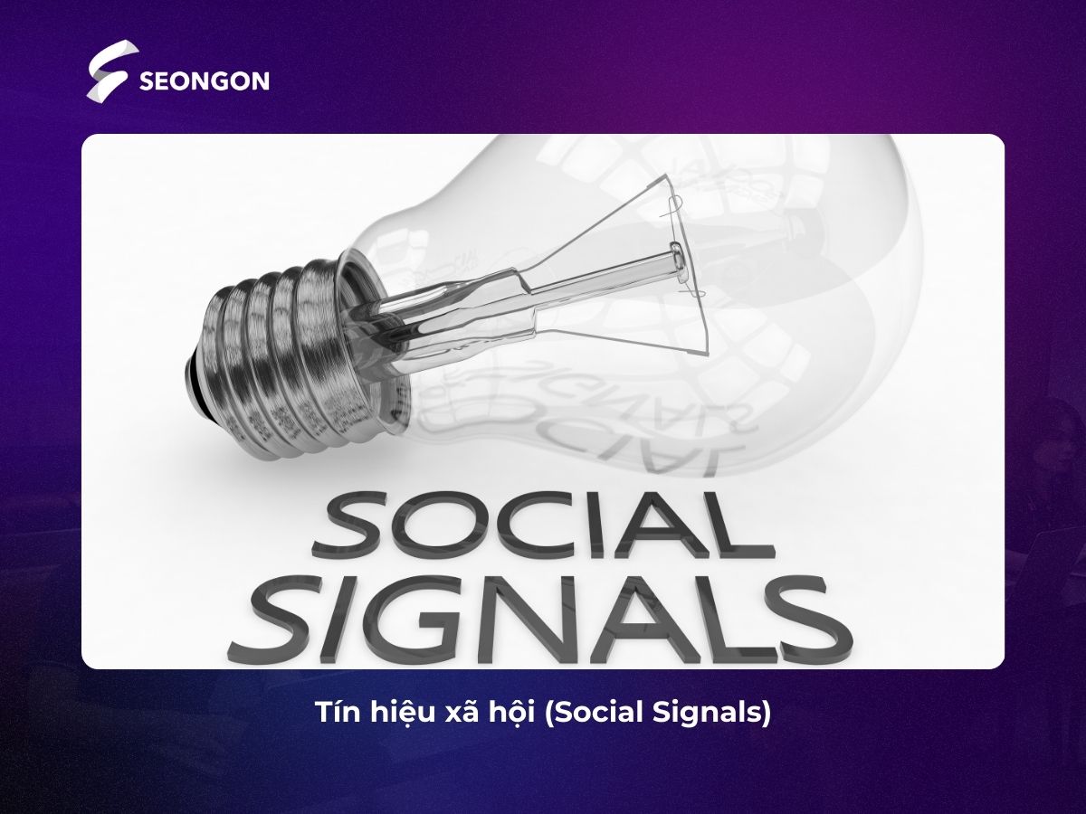 Theo dõi tín hiệu xã hội của trang