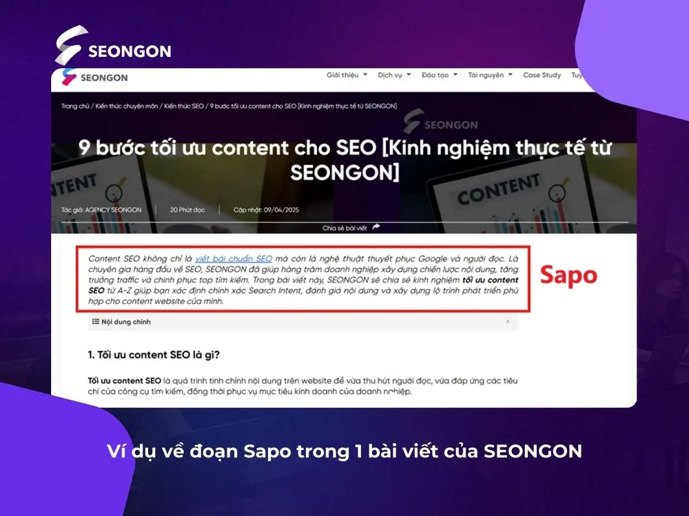 Ví dụ giúp bạn hiểu sapo là gì và vị trí của nó trong một bài viết