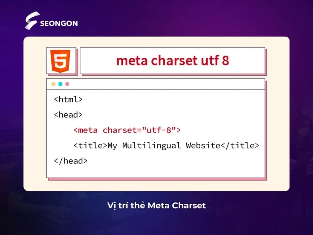 Vị trí của thẻ Meta Charset UTF 8 là nằm sau phần