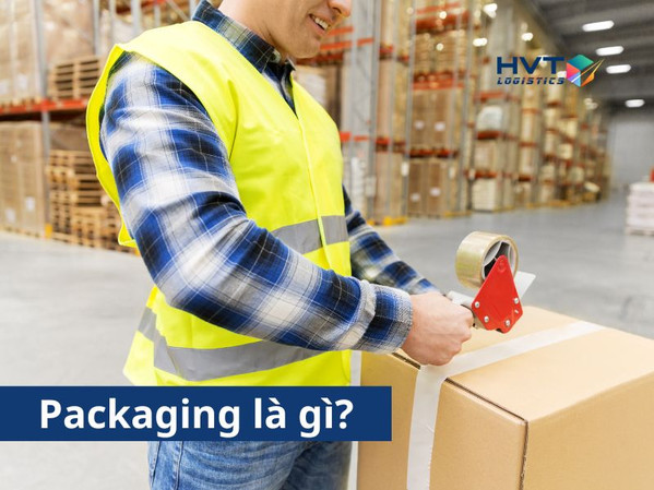 HVT Logistic - Welog - bối cảnh dự án