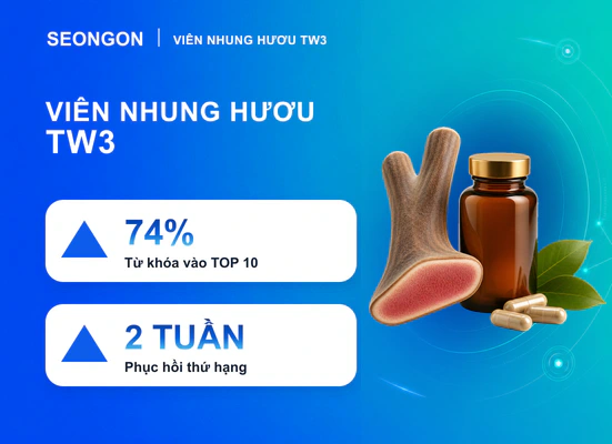Viên Nhung Hươu đưa 74% từ khóa vào TOP 10