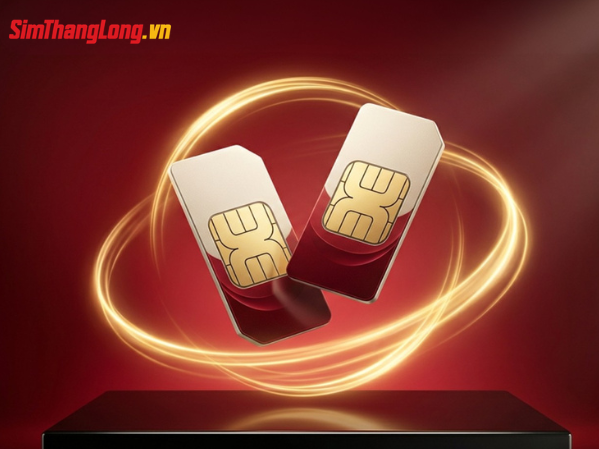 Sim Thăng Long và chiến lược Google Ads tăng trưởng lead vượt bậc