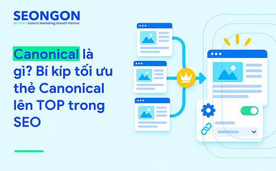 Canonical là gì? Bí kíp tối ưu thẻ Canonical lên TOP trong SEO