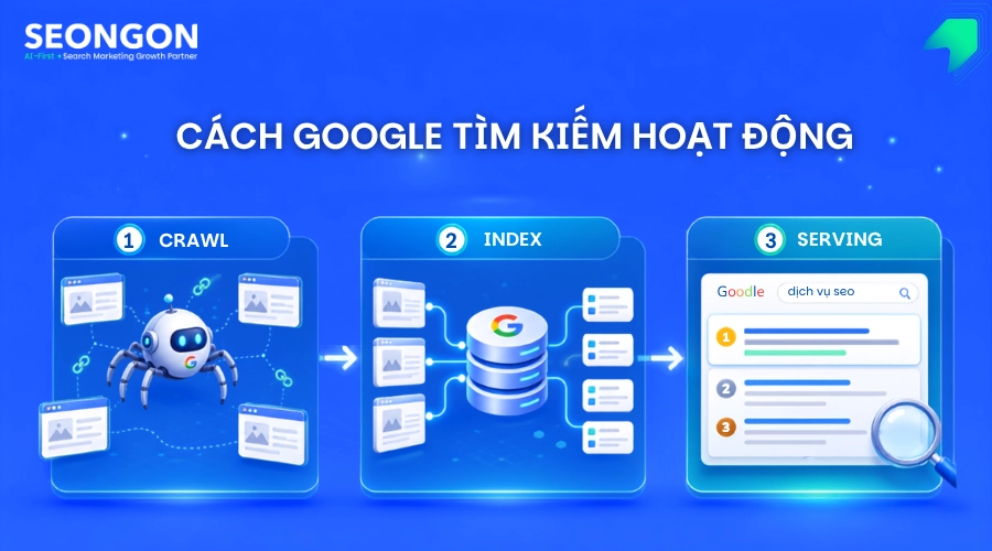 Cách Google Tìm kiếm hoạt động