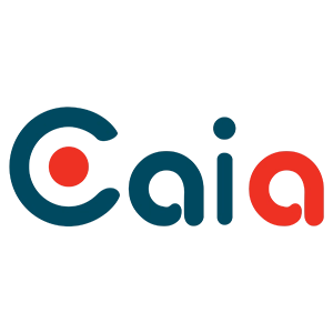 CAIA - Agency dịch vụ SEO và giải pháp Marketing số uy tín tại Hà Nội