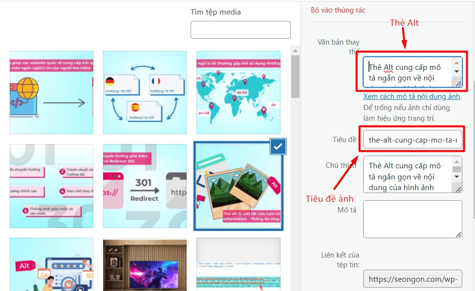 Thẻ Alt là gì? Cách tối ưu thẻ Alt chuẩn SEO của SEONGON - hình minh hoạ 4