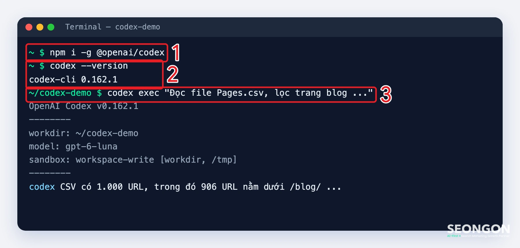 Cài đặt và chạy Codex CLI trong terminal